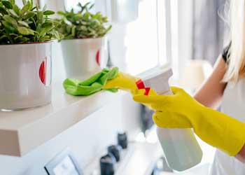 standard-cleaning-services-orlando-cleaning-pros
