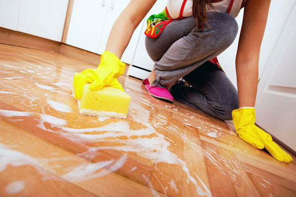 deep-clean-services-orlando-cleaning-pros-pic